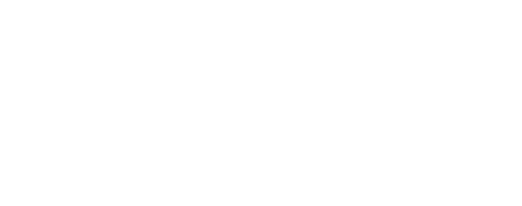 РГСАИ